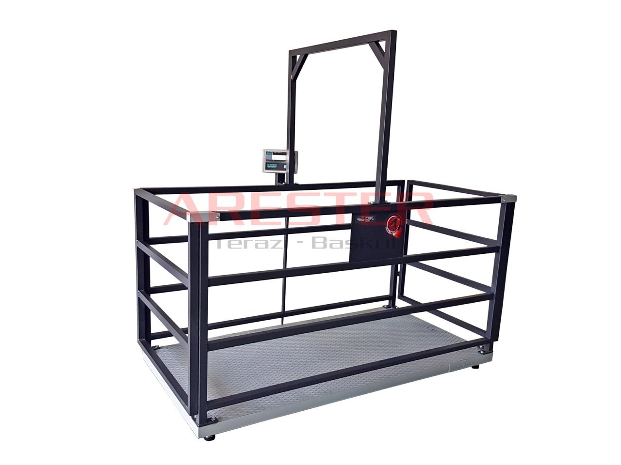 CHB GK-LCD 100x200 1500 Kg Büyük Baş Canlı Hayvan Baskülü