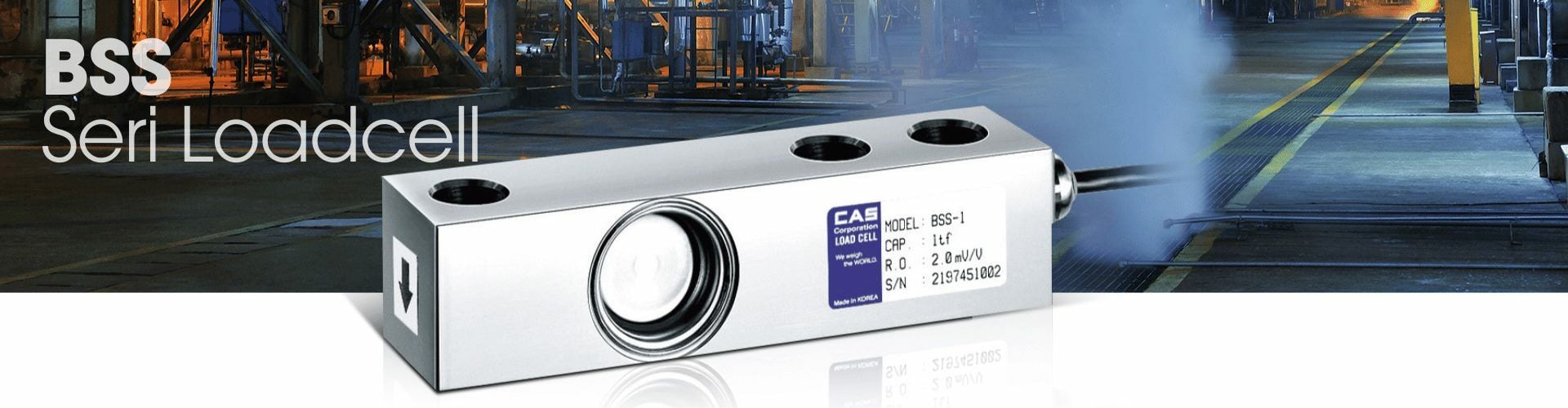 Cas Loadcell 1 